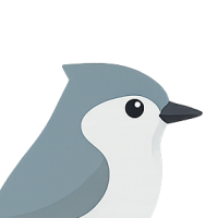 birdpassport avatar